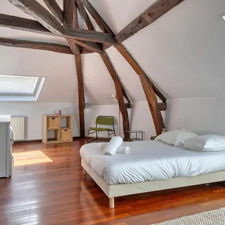 Geoffroy Sublime Duplex A Proximite De La Place Du Vieux Marche Apartman Rouen