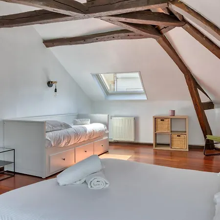 Апартаменты Geoffroy Sublime Duplex A Proximite De La Place Du Vieux Marche