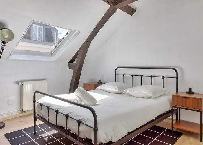 Geoffroy Sublime Duplex à Proximité De La Place Du Vieux Marché Rouen