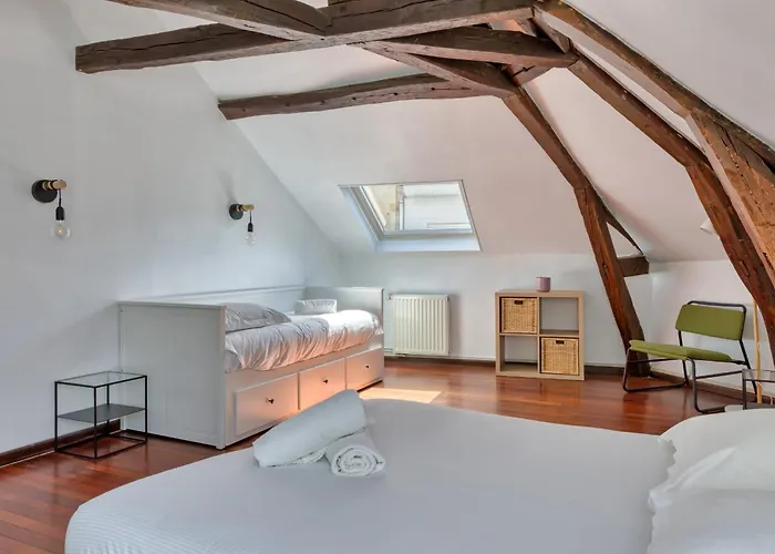 Apartment Geoffroy Sublime Duplex A Proximite De La Place Du Vieux Marche